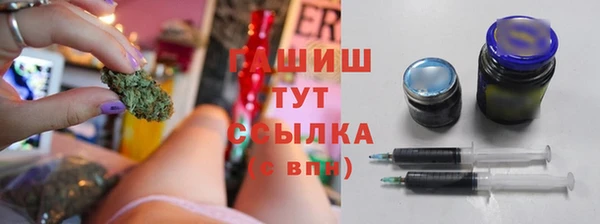 тгк Дмитров