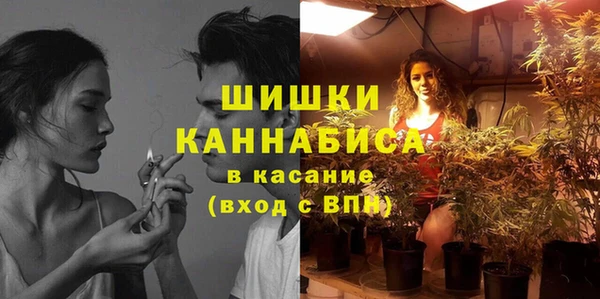 тгк Дмитров