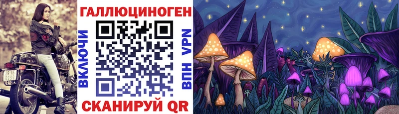 Галлюциногенные грибы Psilocybine cubensis  Купить где  Улан-Удэ 